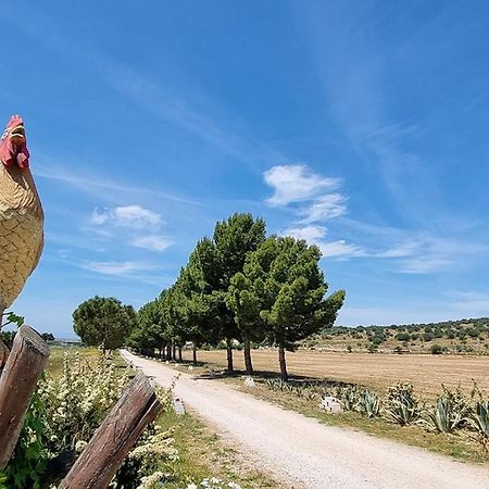 Masseria Milu' 西旁托 外观 照片