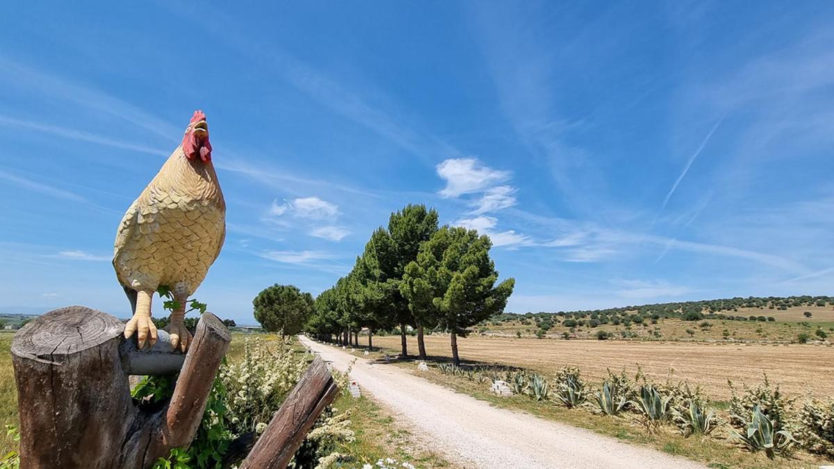 Masseria Milu' 西旁托 外观 照片