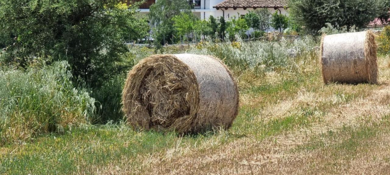 Masseria Milu' 西旁托 外观 照片